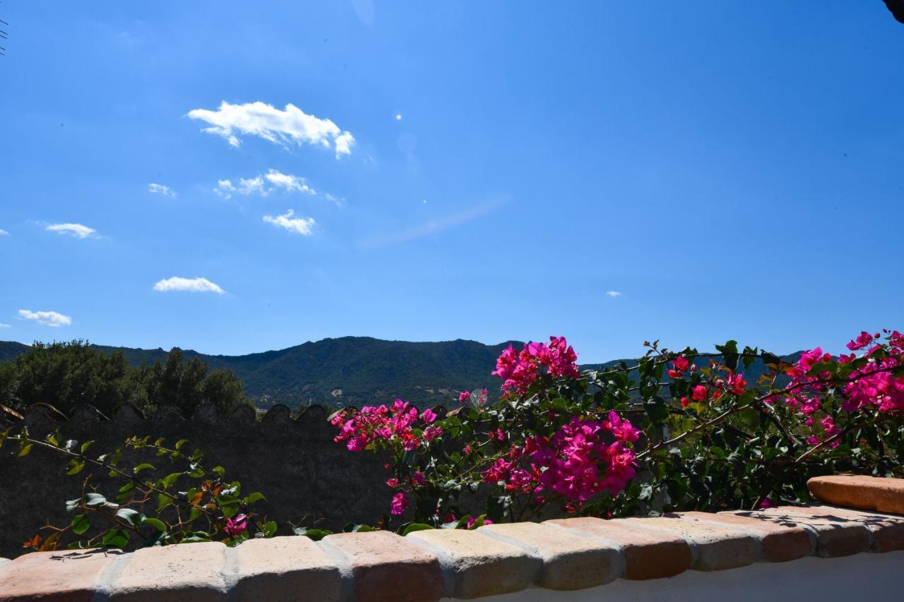 Bentosa Villa Enas Kültér fotó